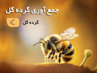 گرده گل