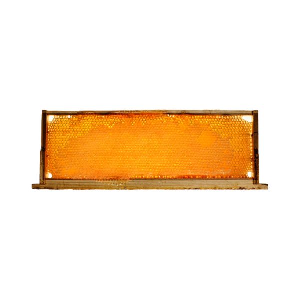عسل طبیعی