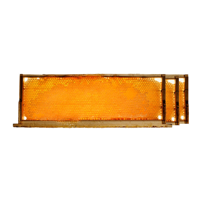 عسل طبیعی