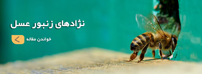 عسل طبیعی